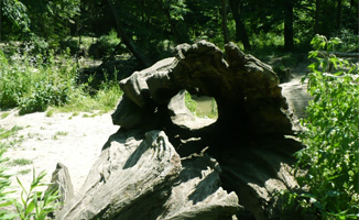 környezetvédelem